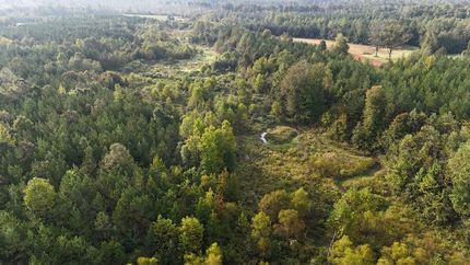 Hunting Property for sale in Pontotoc County, Mississippi