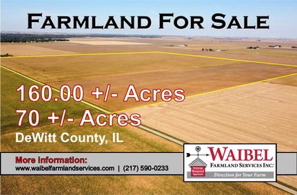 Land for sale in DeWitt County, Illinois