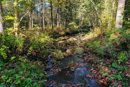 Timberland Property in Taylor County, Wisconsin