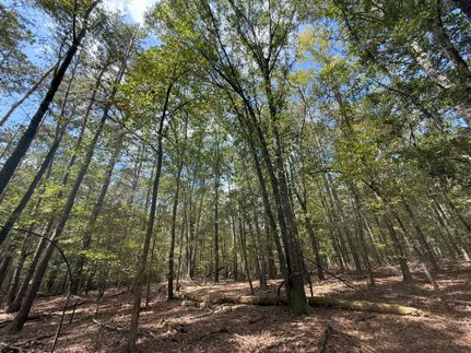 Land for sale in Jackson County, Georgia