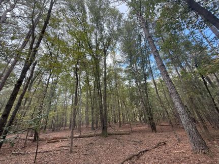 Land for sale in Jackson County, Georgia