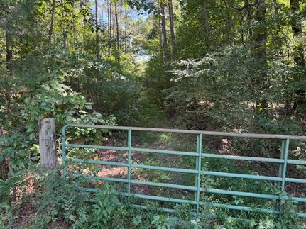 Undeveloped Land for sale in Hardeman County, Tennessee
