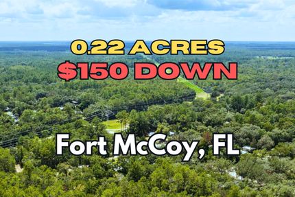 Undeveloped Land for sale in Marion County, Florida