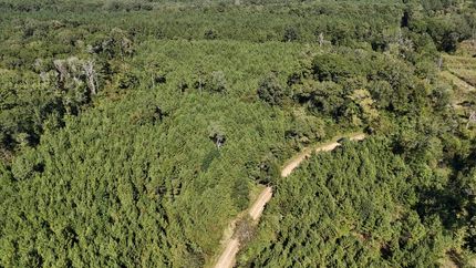 Timberland Property for sale in Union Parish, Louisiana