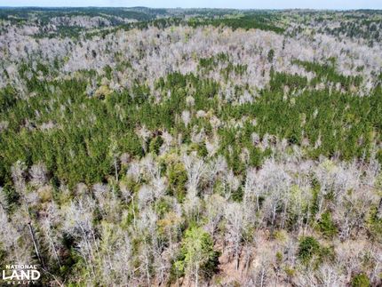 Horse Property for sale in Choctaw County, Alabama
