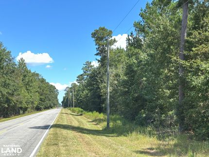 Land for sale in Orangeburg County, South Carolina