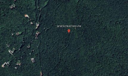 Oceanfront Property for sale in Rabun County, Georgia