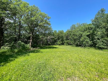 Timberland Property for sale in Mahnomen County, Minnesota