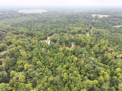 Land for sale in Claiborne County, Mississippi