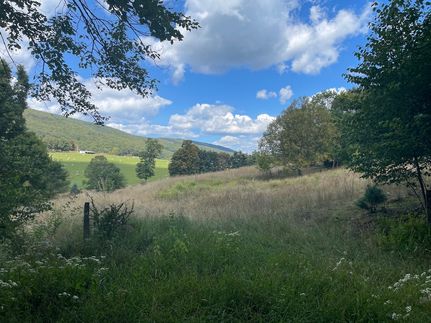 Timberland Property for sale in Pendleton County, West Virginia