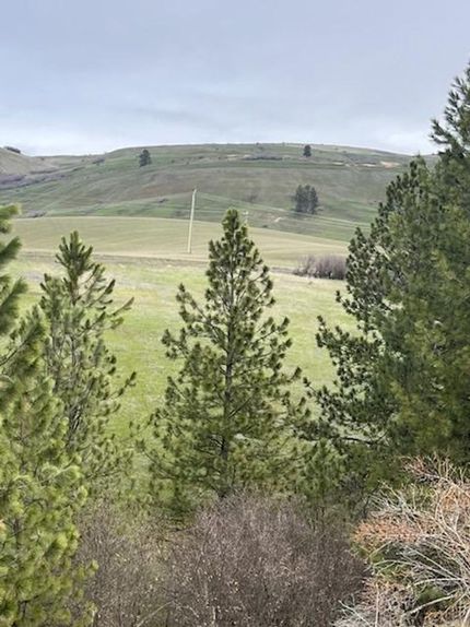 Undeveloped Land for sale in Nez Perce County, Idaho