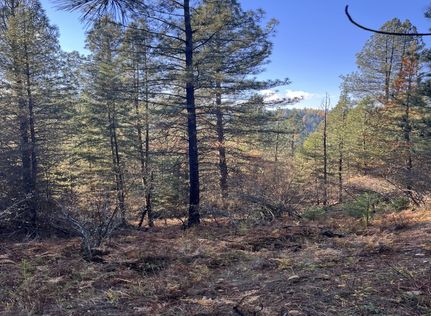 Timberland Property in Shoshone County, Idaho