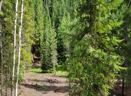 Undeveloped Land for sale in Boundary County, Idaho