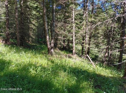 Land for sale in Benewah County, Idaho