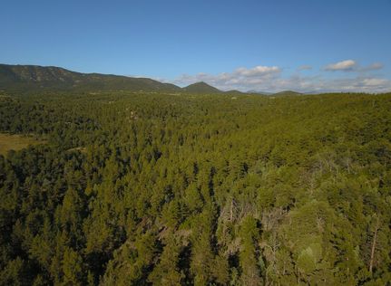 Undeveloped Land for sale in Fremont County, Colorado