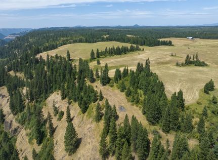 Land for sale in Idaho County, Idaho