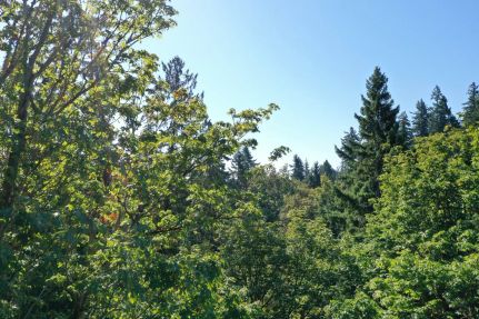 Land for sale in King County, Washington