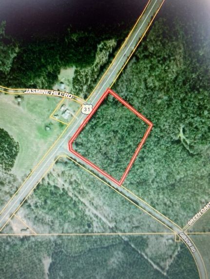 Land for sale in Butler County, Alabama