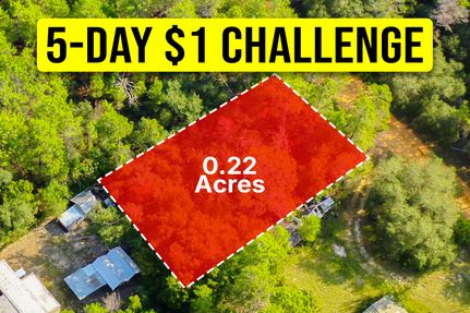 Undeveloped Land for sale in Putnam County, Florida