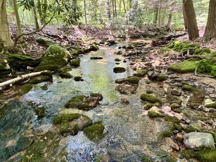 Hunting Property in Somerset County, Pennsylvania