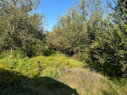 Land for sale in Coke County, Texas