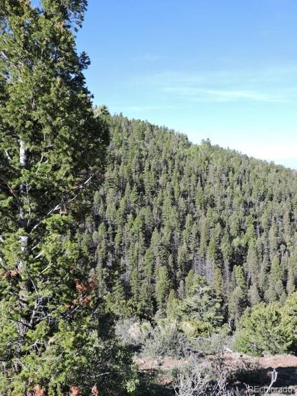 Hunting Property for sale in Costilla County, Colorado
