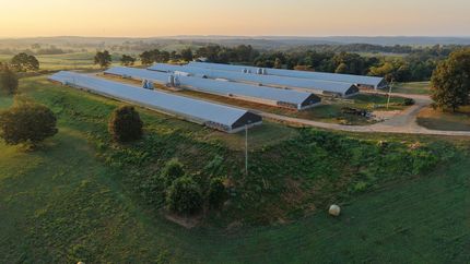 Land for sale in Sevier County, Arkansas