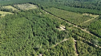 Farm and Ranch for sale in Union Parish, Louisiana