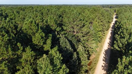 Undeveloped Land for sale in Union County, Arkansas
