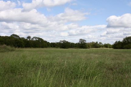 Farm and Ranch for sale in Fannin County, Texas