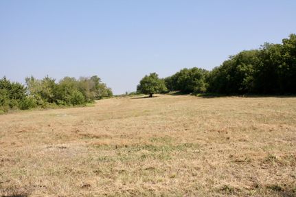 Undeveloped Land for sale in Fannin County, Texas