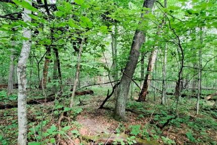 Undeveloped Land for sale in Todd County, Minnesota