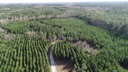 Timberland Property for sale in Holmes County, Florida