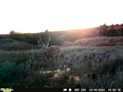 Farm and Ranch in Harper County, Oklahoma
