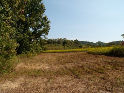 Land for sale in Marion County, Kentucky