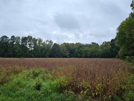 Riverfront Property for sale in Sussex County, Virginia