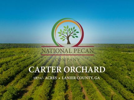 Farm and Ranch for sale in Lanier County, Georgia