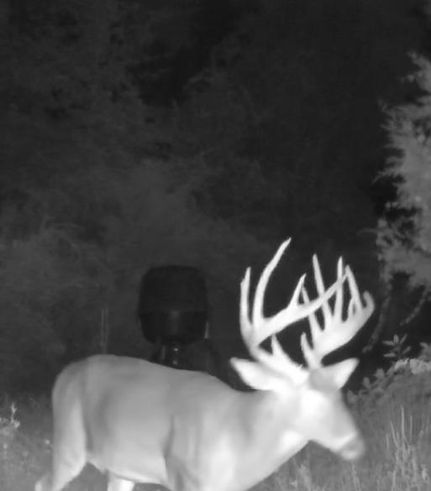 House for sale in Mitchell County, Georgia