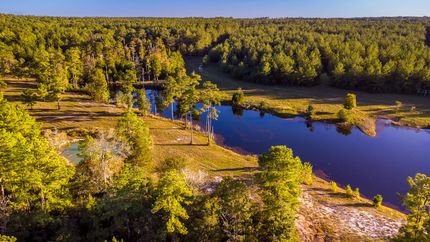 Timberland Property for sale in Polk County, Texas