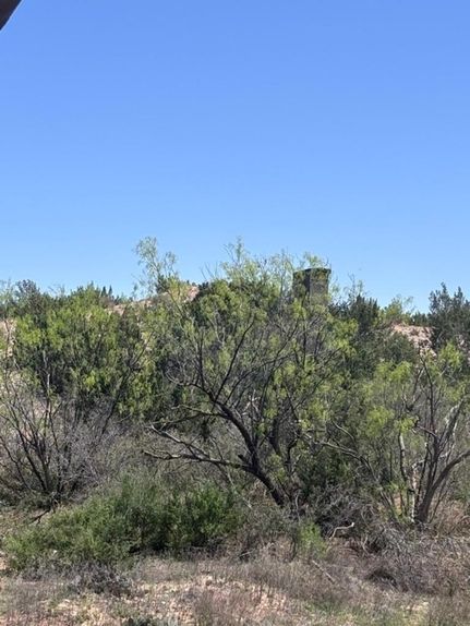 Farm and Ranch for sale in Coke County, Texas