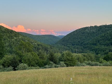 Undeveloped Land for sale in Cameron County, Pennsylvania