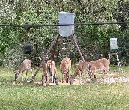 Land for sale in Bandera County, Texas