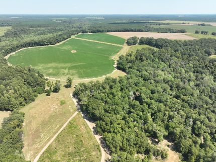 Land for sale in Randolph County, Georgia