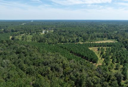 Timberland Property for sale in Thomas County, Georgia