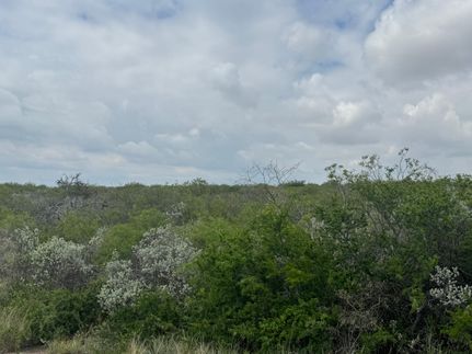 Land for sale in Val Verde County, Texas