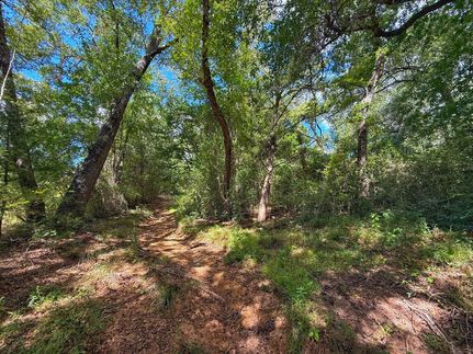 Land for sale in Leon County, Texas