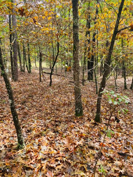 Undeveloped Land for sale in Izard County, Arkansas