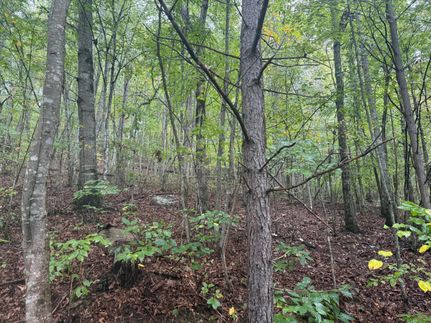 Timberland Property for sale in Grundy County, Tennessee