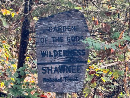 Commercial Property for sale in Pope County, Illinois