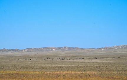Undeveloped Land for sale in Goshen County, Wyoming
